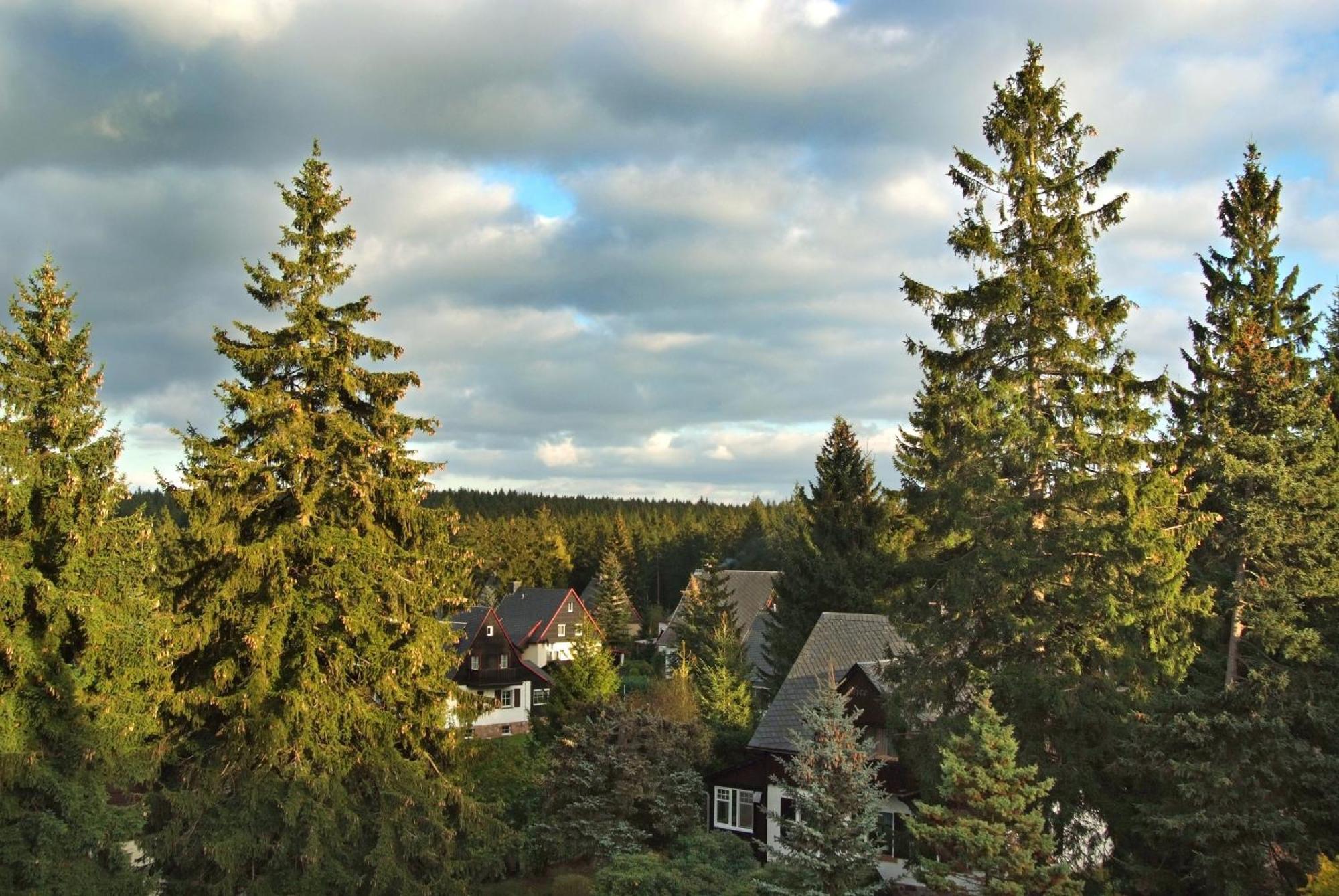 Berghotel Friedrichshoehe Altenberg  Exterior foto